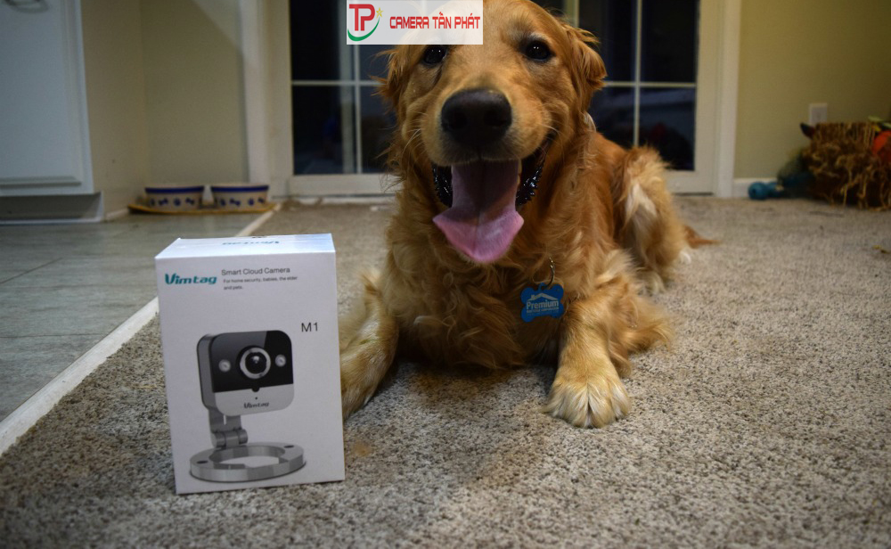 Hướng dẫn đổi tên, Mật khẩu quản trị, Mật khẩu người xem cho Camera Vimtag 4 Vimtag Camera Review